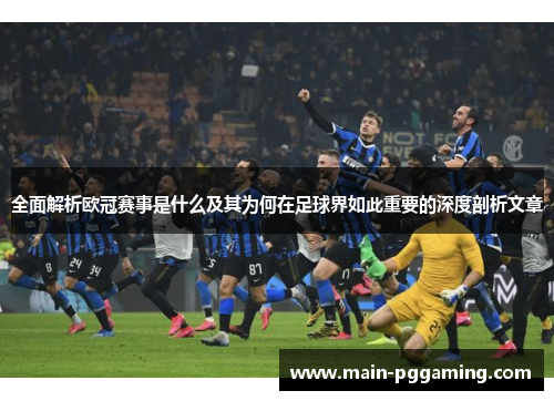 全面解析欧冠赛事是什么及其为何在足球界如此重要的深度剖析文章