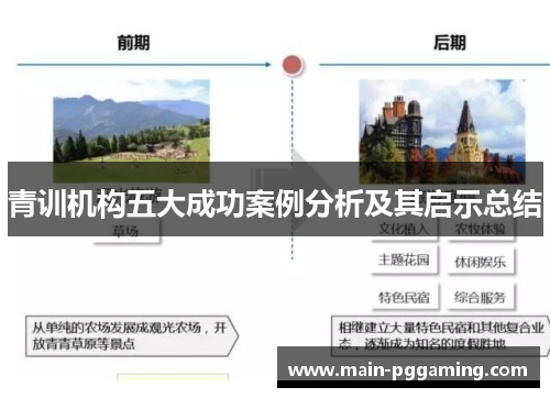 青训机构五大成功案例分析及其启示总结